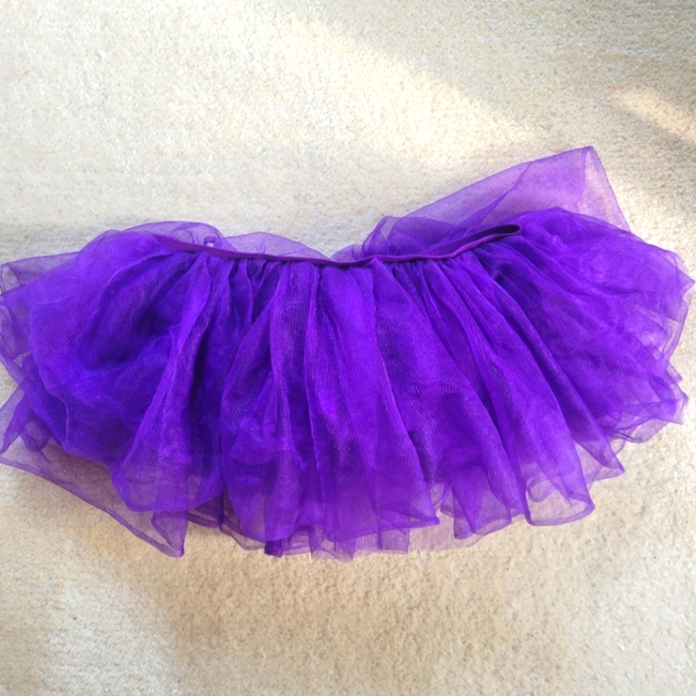Purple Costume Mesh Tutu Skirt